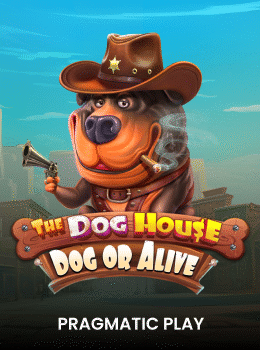 The Dog House - Dog or Alive