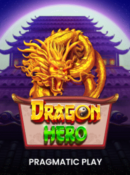 Dragon Hero