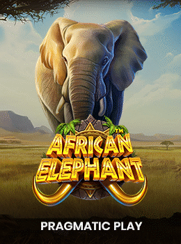 African Elephant
