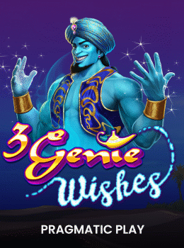 3 Genie Wishes
